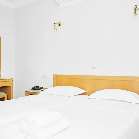 Hotel Telioni 3*