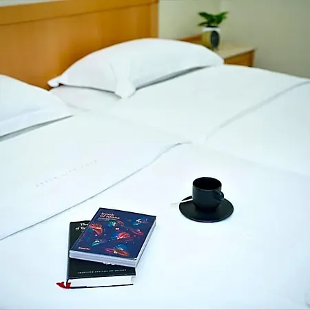 Telioni Ξενοδοχείο 3*
